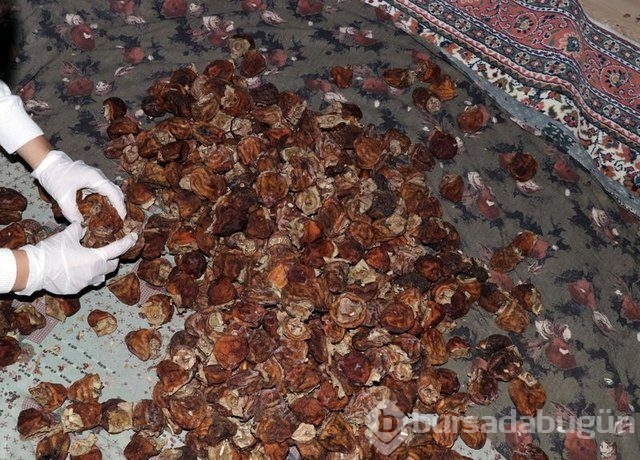 Memurluğu bıraktı patron oldu