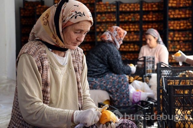 Memurluğu bıraktı patron oldu
