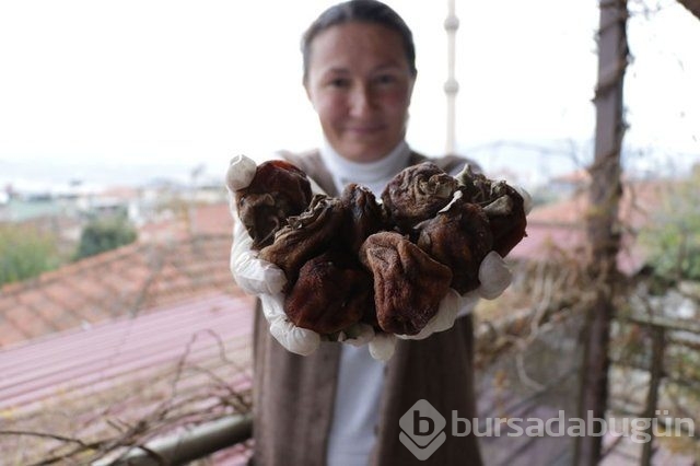Memurluğu bıraktı patron oldu