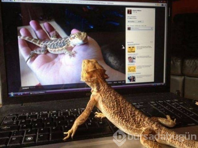 Herkes donakaldı ama bu kare çekildikten sonra