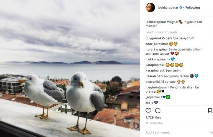 Ünlülerin Instagram paylaşımları (20.12.2017)