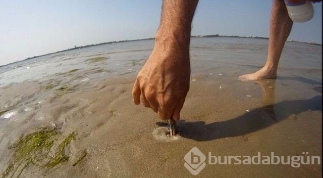 Buzları motorlu testereyle kesip balık avlıyorlar