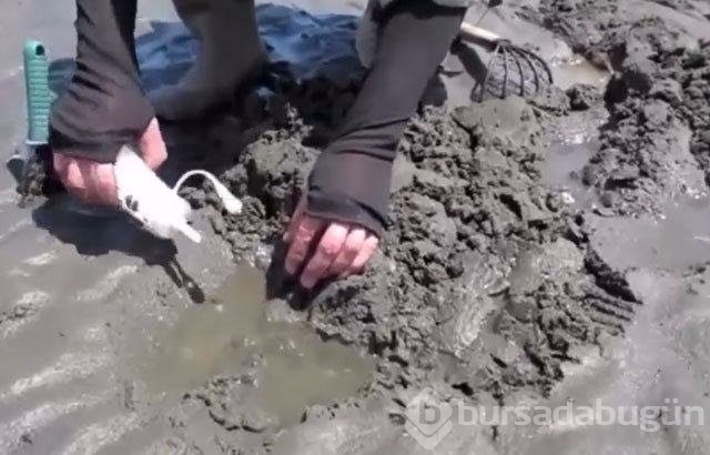 Buzları motorlu testereyle kesip balık avlıyorlar