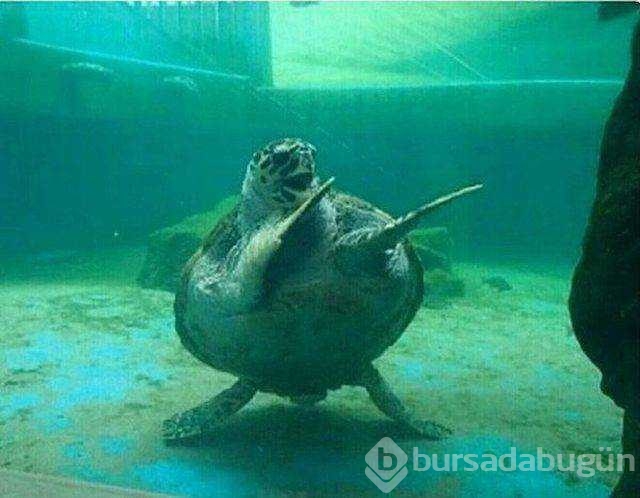 Günün en çok paylaşılan fotoğrafları