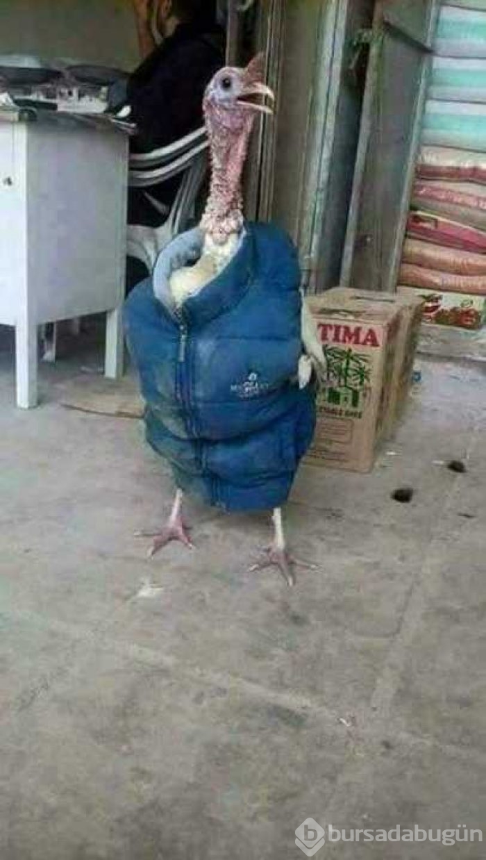 Günün en çok paylaşılan fotoğrafları