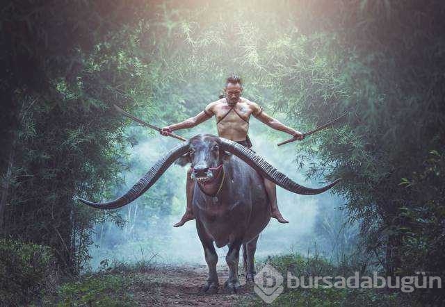 Günün en çok paylaşılan fotoğrafları