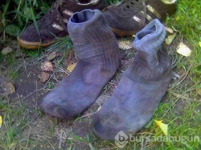 Günün en çok paylaşılan fotoğrafları