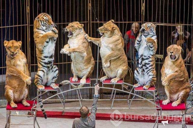 Günün en çok paylaşılan fotoğrafları