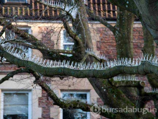 Günün en çok paylaşılan fotoğrafları