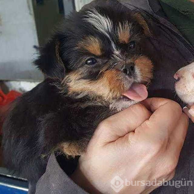 Günün en çok paylaşılan fotoğrafları