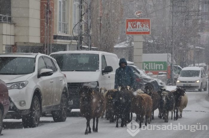Yoğun kar yağışı hayatı olumsuz etkiliyor