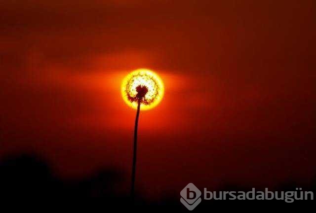 Günün en çok paylaşılan fotoğrafları