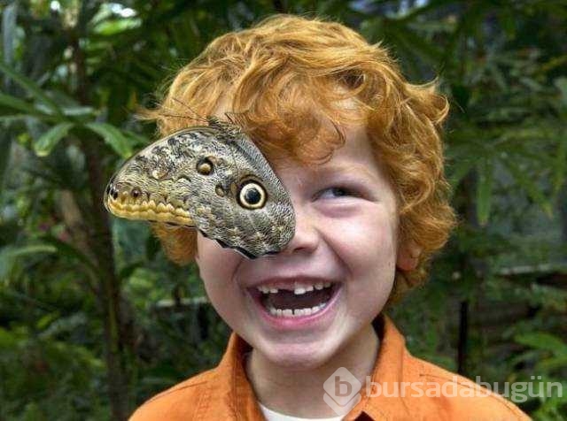 Günün en çok paylaşılan fotoğrafları