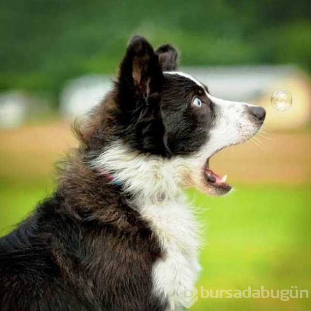 Günün en çok paylaşılan fotoğrafları