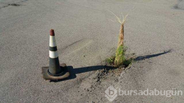 Günün en çok paylaşılan fotoğrafları