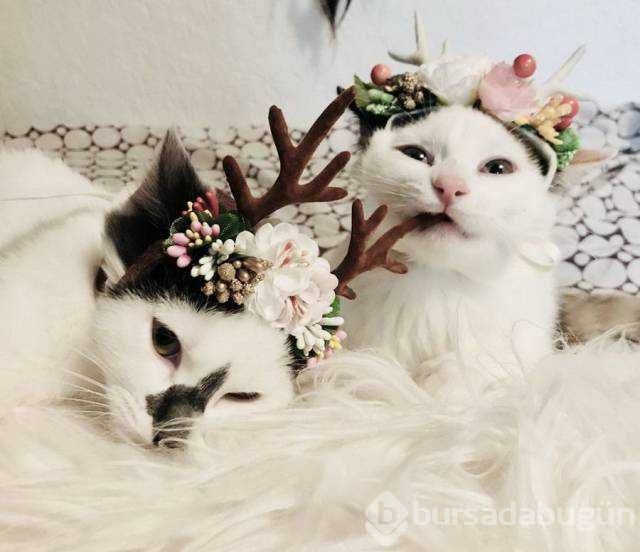 Günün en çok paylaşılan fotoğrafları