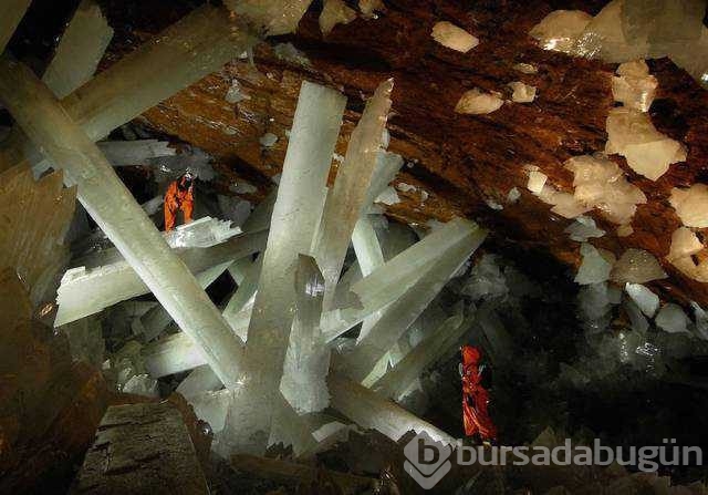 Günün en çok paylaşılan fotoğrafları