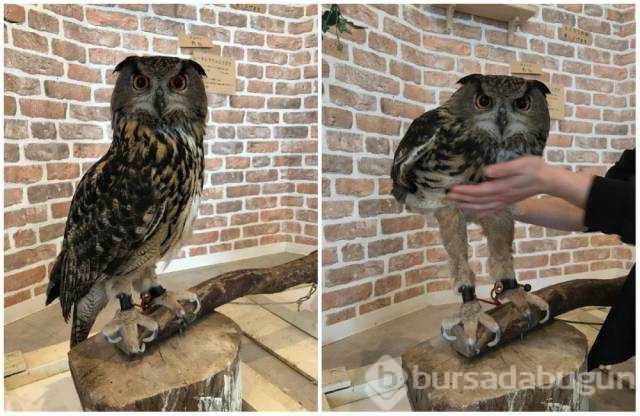 Günün en çok paylaşılan fotoğrafları