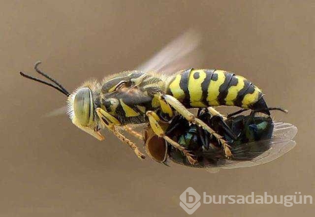 Günün en çok paylaşılan fotoğrafları