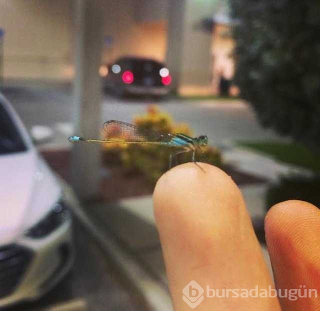 Günün en çok paylaşılan fotoğrafları