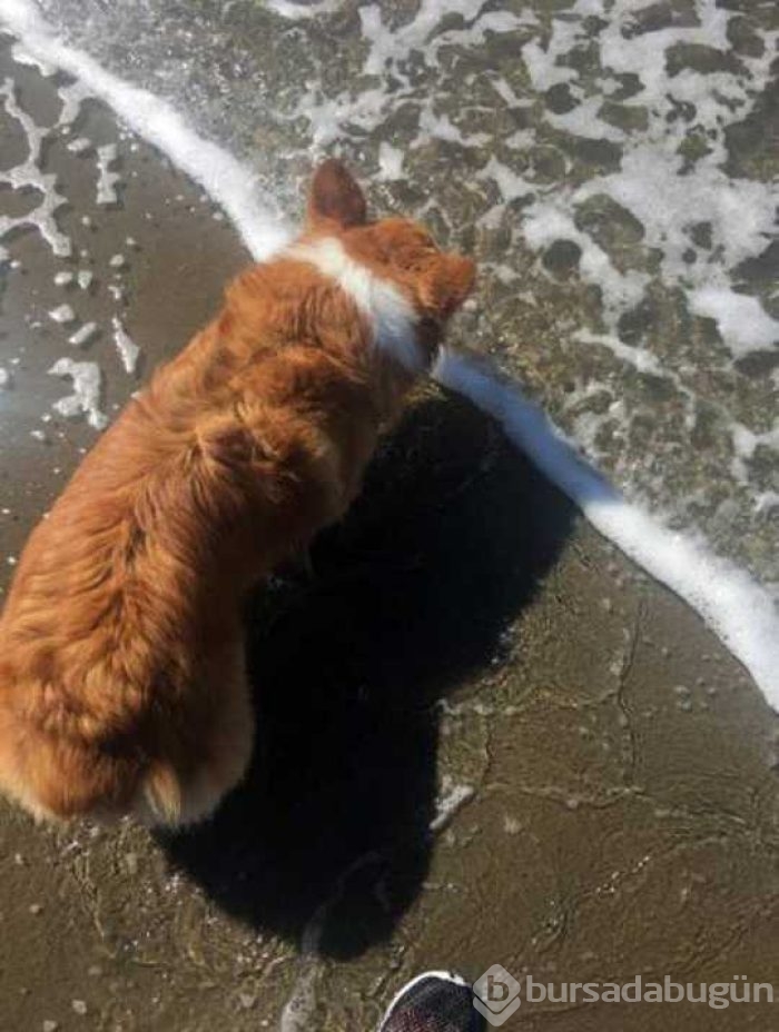 Günün en çok paylaşılan fotoğrafları