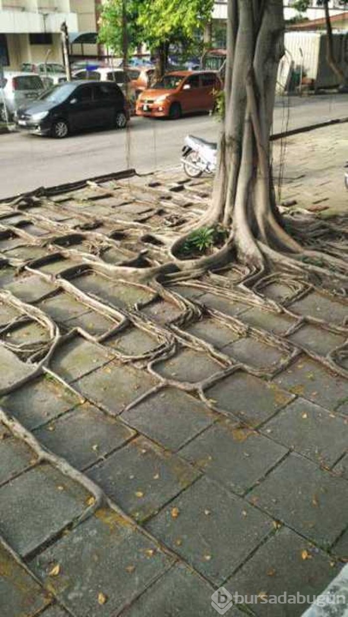 Günün en çok paylaşılan fotoğrafları