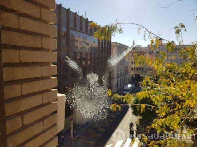 Objektiflere takılan en şansız anlar