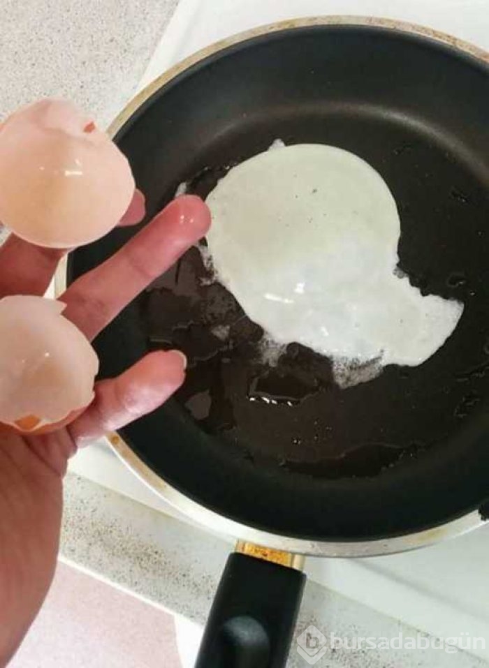 Objektiflere takılan en şansız anlar