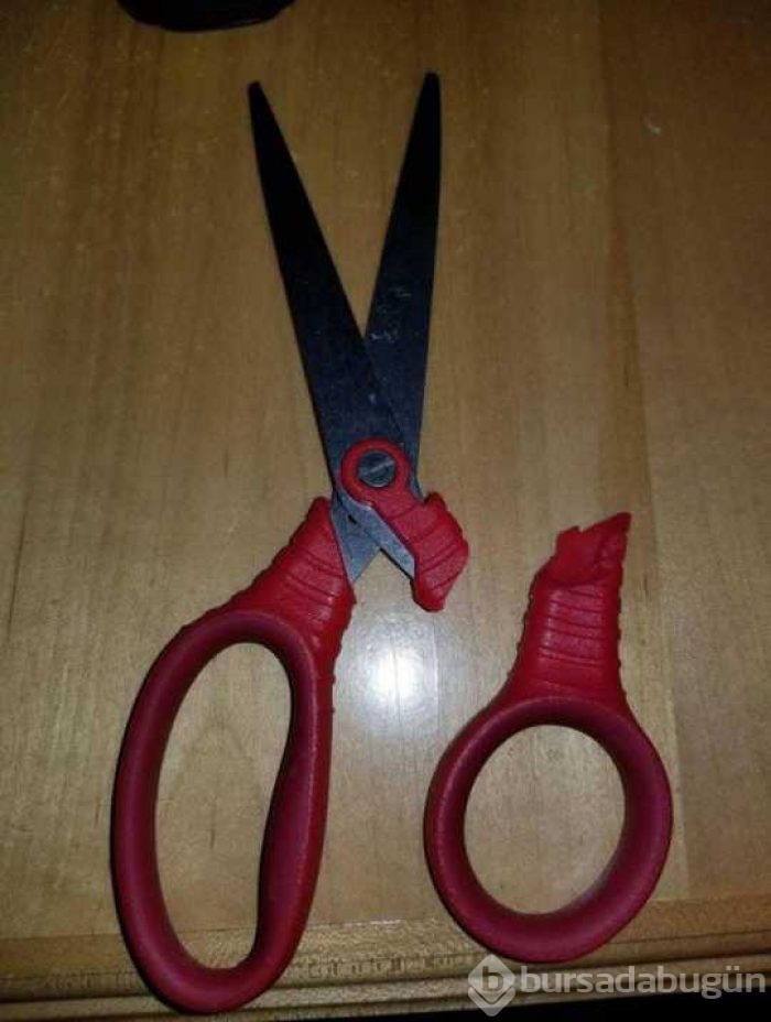 Objektiflere takılan en şansız anlar