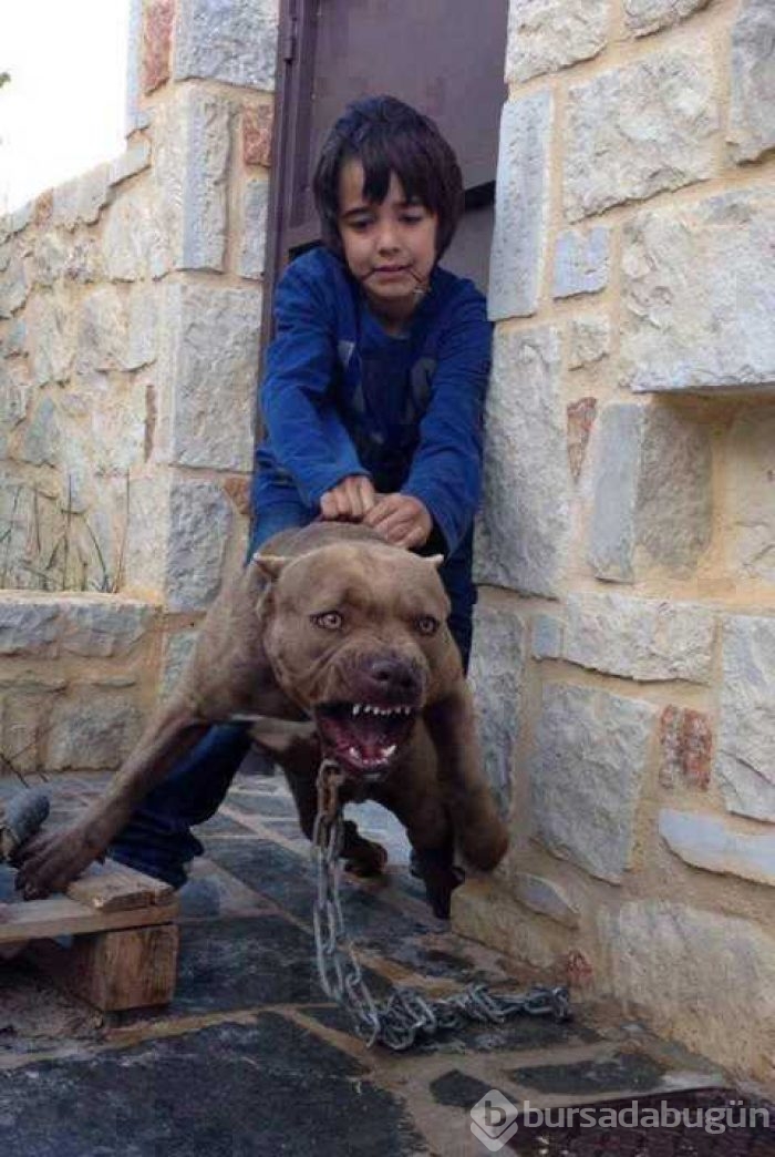 Objektiflere takılan en şansız anlar