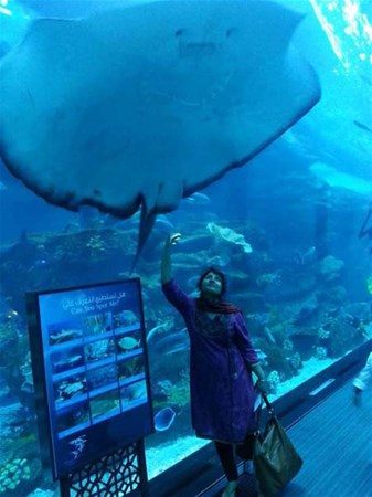 Sadece Dubai`de görebileceğiniz fotoğraflar
