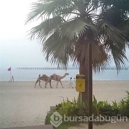 Sadece Dubai`de görebileceğiniz fotoğraflar