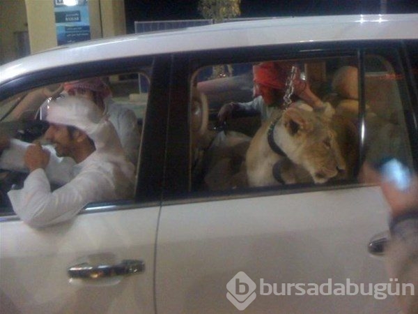 Sadece Dubai`de görebileceğiniz fotoğraflar