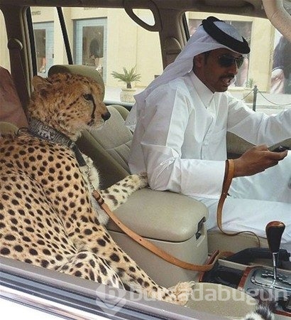 Sadece Dubai`de görebileceğiniz fotoğraflar