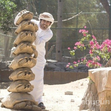 Sadece Dubai`de görebileceğiniz fotoğraflar
