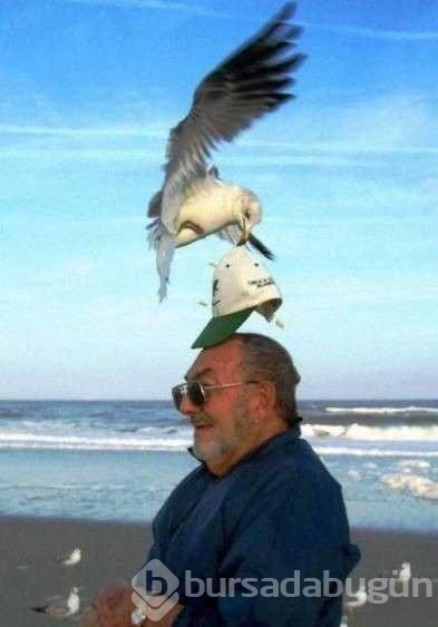 Zamanlaması harika anlar!