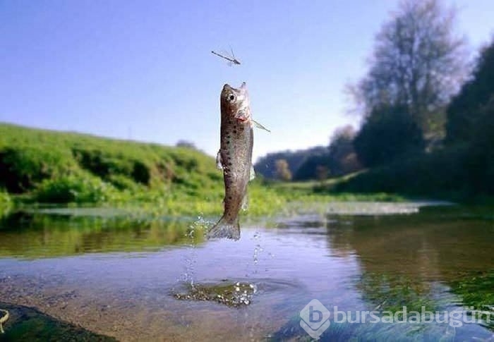 Zamanlaması harika anlar!