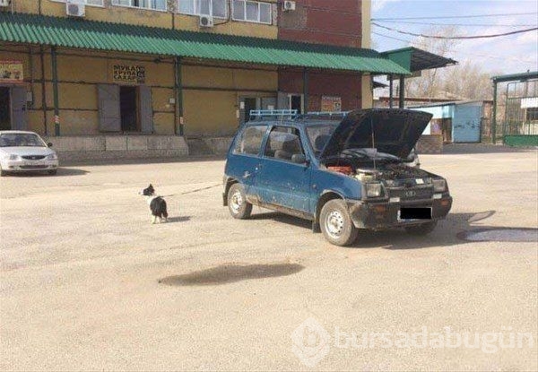 Sadece Rusya`da görebilirsiniz!