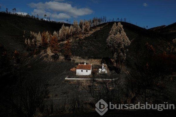 2017`ye damga vuran kareler