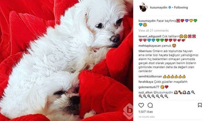 Ünlü isimlerin Instagram paylaşımları (25.12.2017)