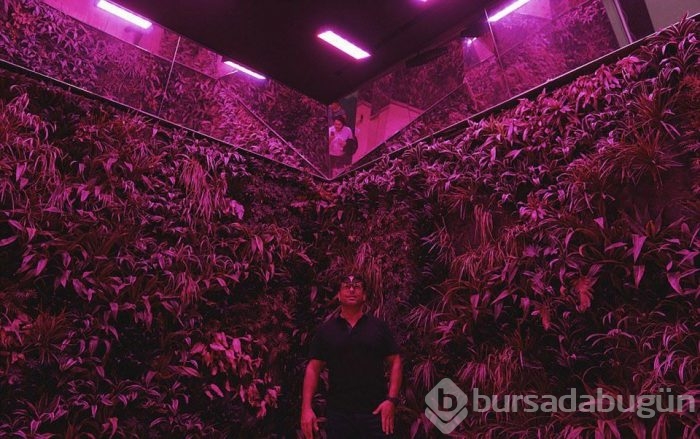 ABD'nin en pahalı evi 'One' bitmek üzere