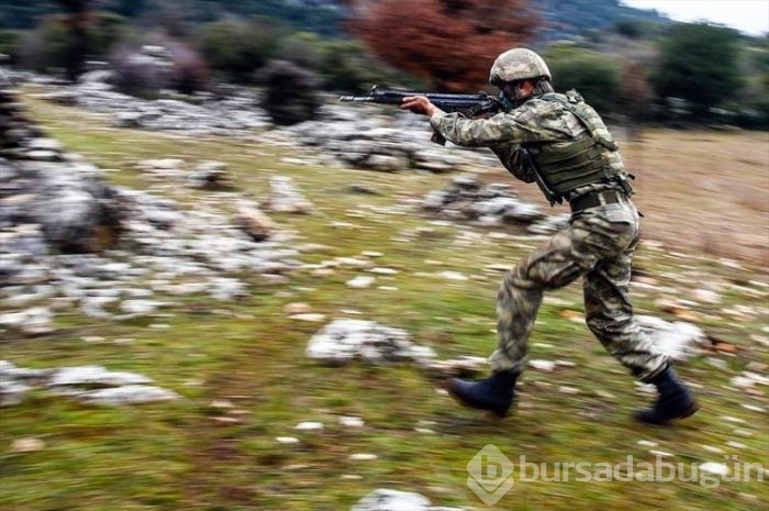 'Dağların aslanları' ansızın vuruyor