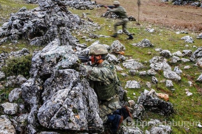 'Dağların aslanları' ansızın vuruyor