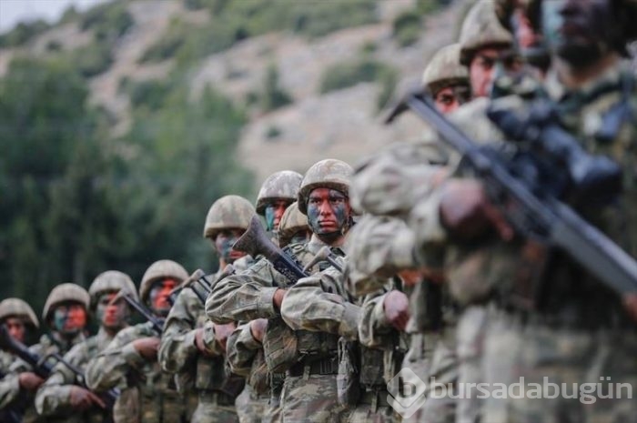'Dağların aslanları' ansızın vuruyor