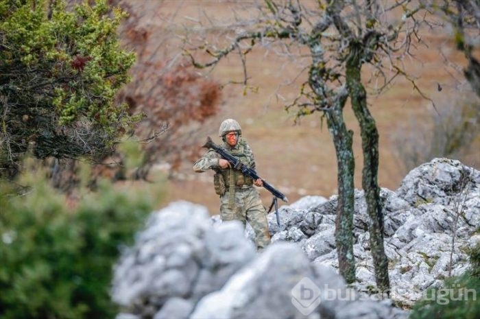 'Dağların aslanları' ansızın vuruyor