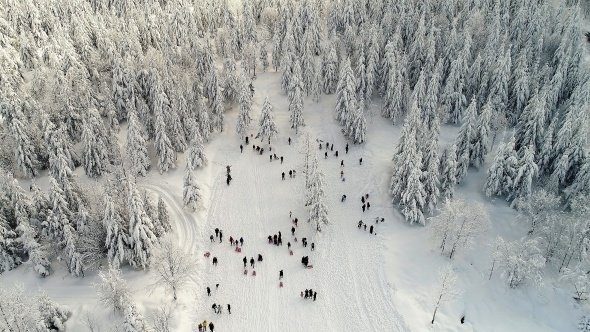 Kartepe'nin eşsiz doğası havadan görüntülendi