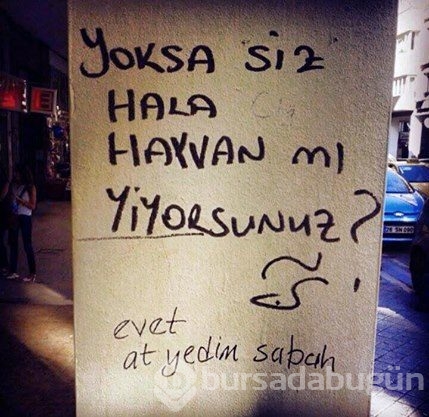 İlginç duvar yazıları