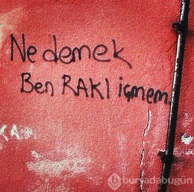 İlginç duvar yazıları