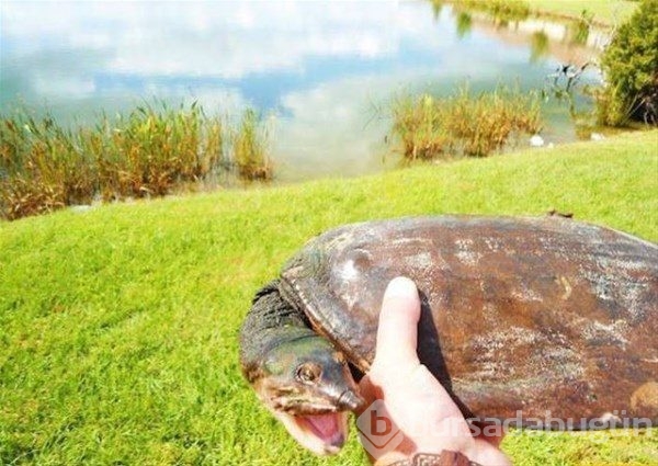 1 saniye sonrasını merak edeceğiniz fotoğraflar
