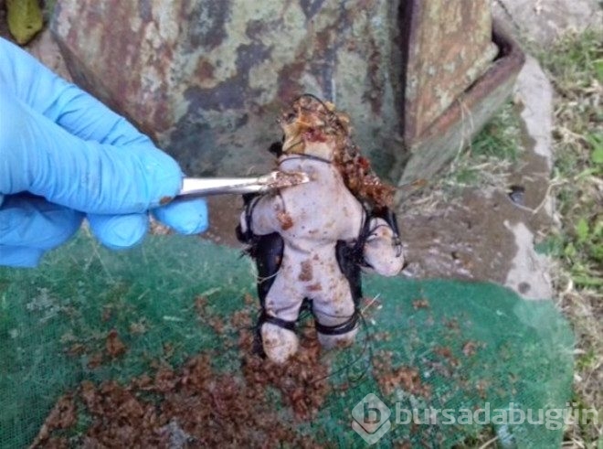 Duvar arasından bulduğu kavanozun içinden çıkanlar şoke etti